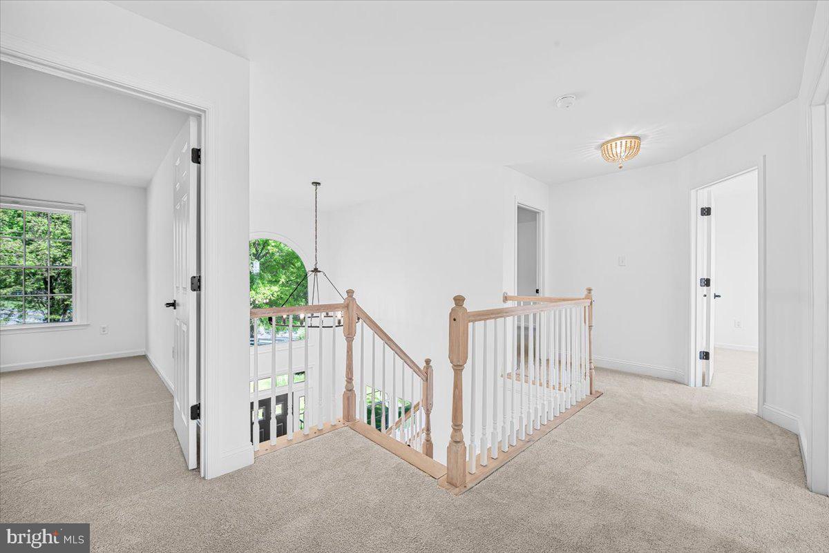 THE PADDOCKS - Residential
