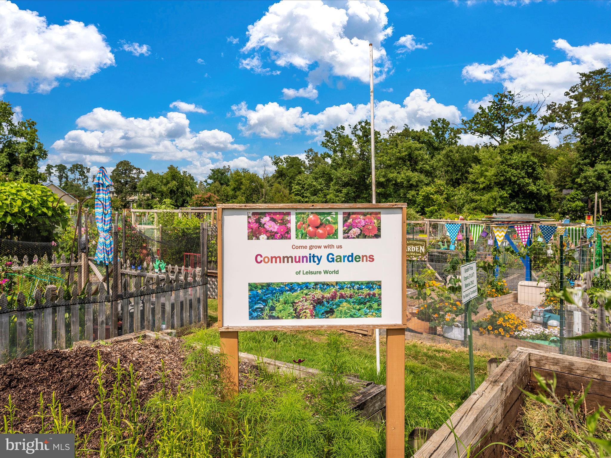 MONTGOMERY MUTUAL COOP - Residential