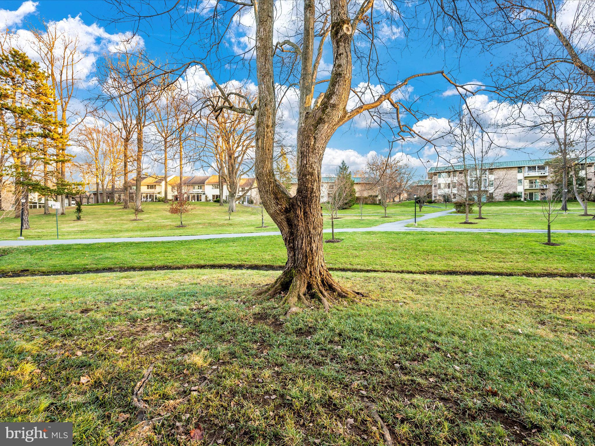 MONTGOMERY MUTUAL COOP - Residential