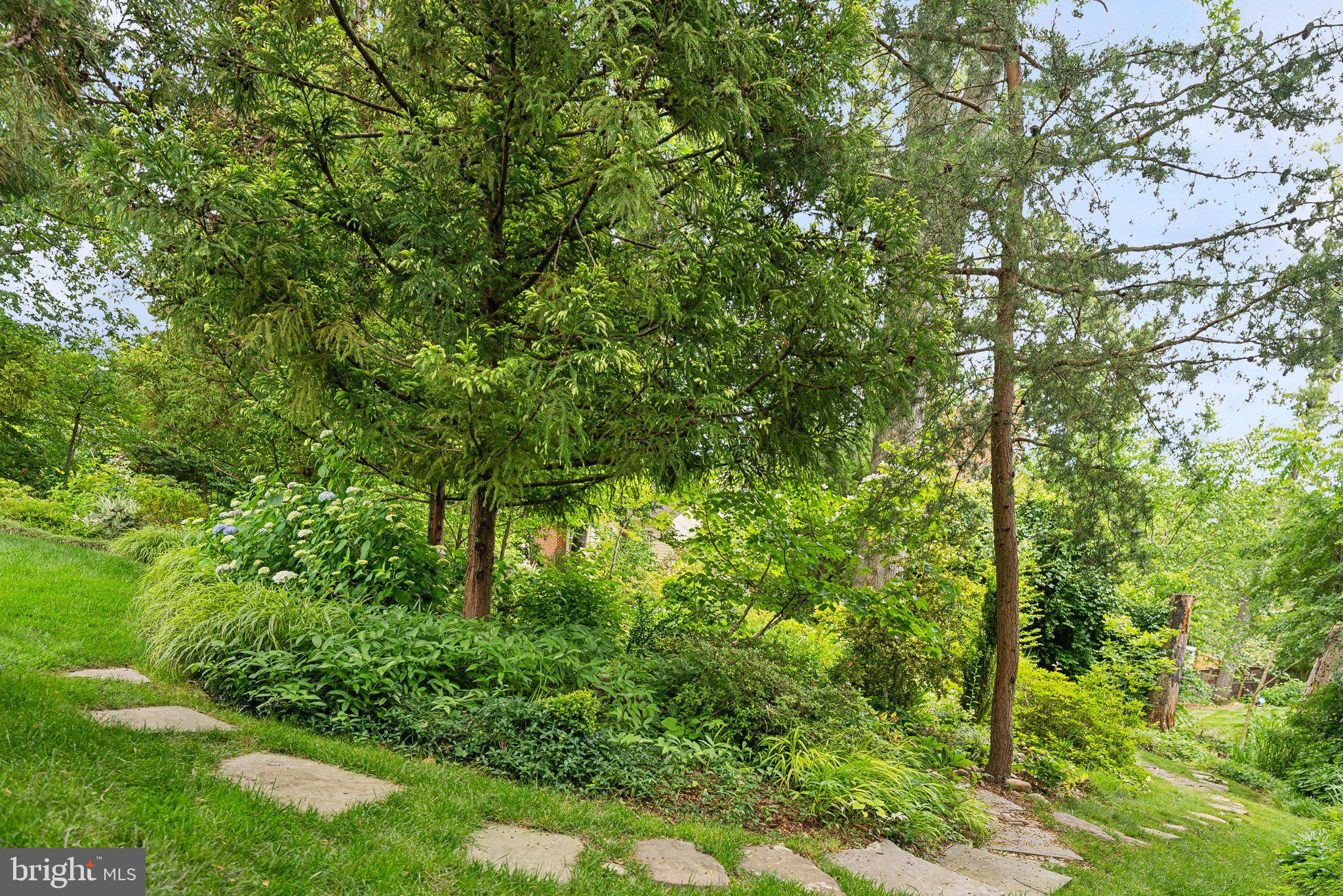 MANSION DRIVE - Residential