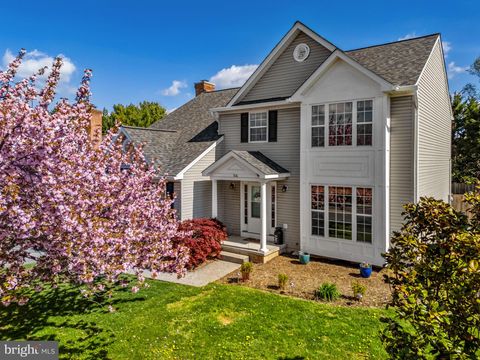 306 MOSBY BOULEVARD BERRYVILLE VA 22611