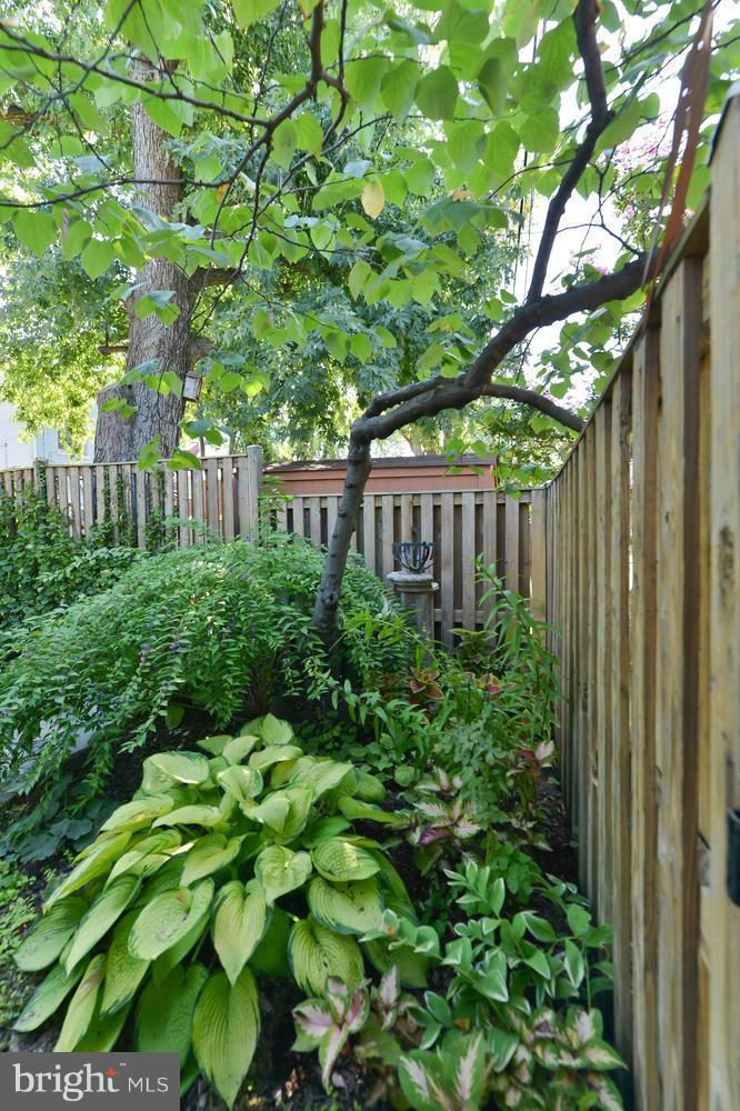 VIRGINIA VILLAGE - Residential