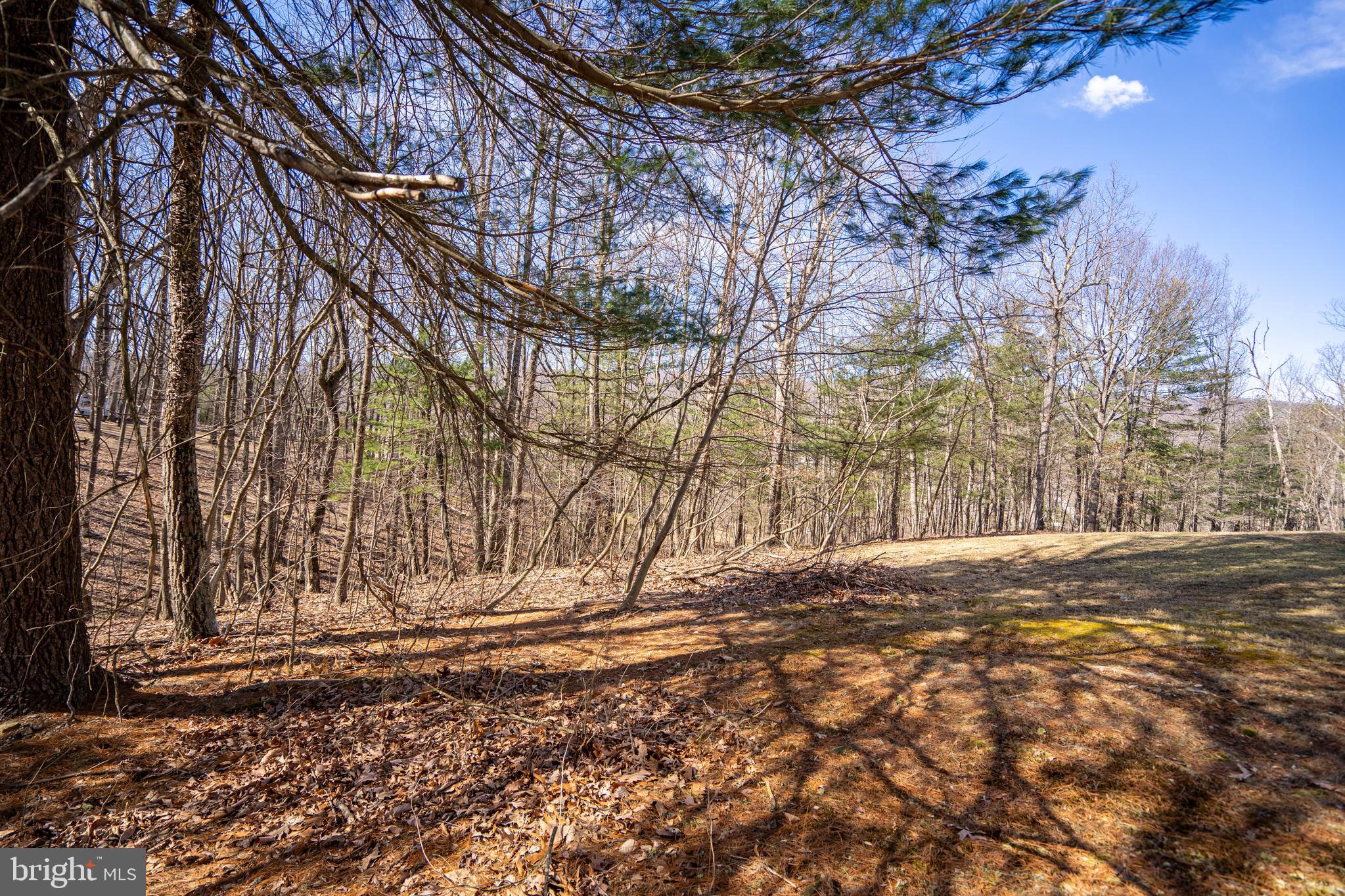 APPLE ORCHARD ACRES - Residential