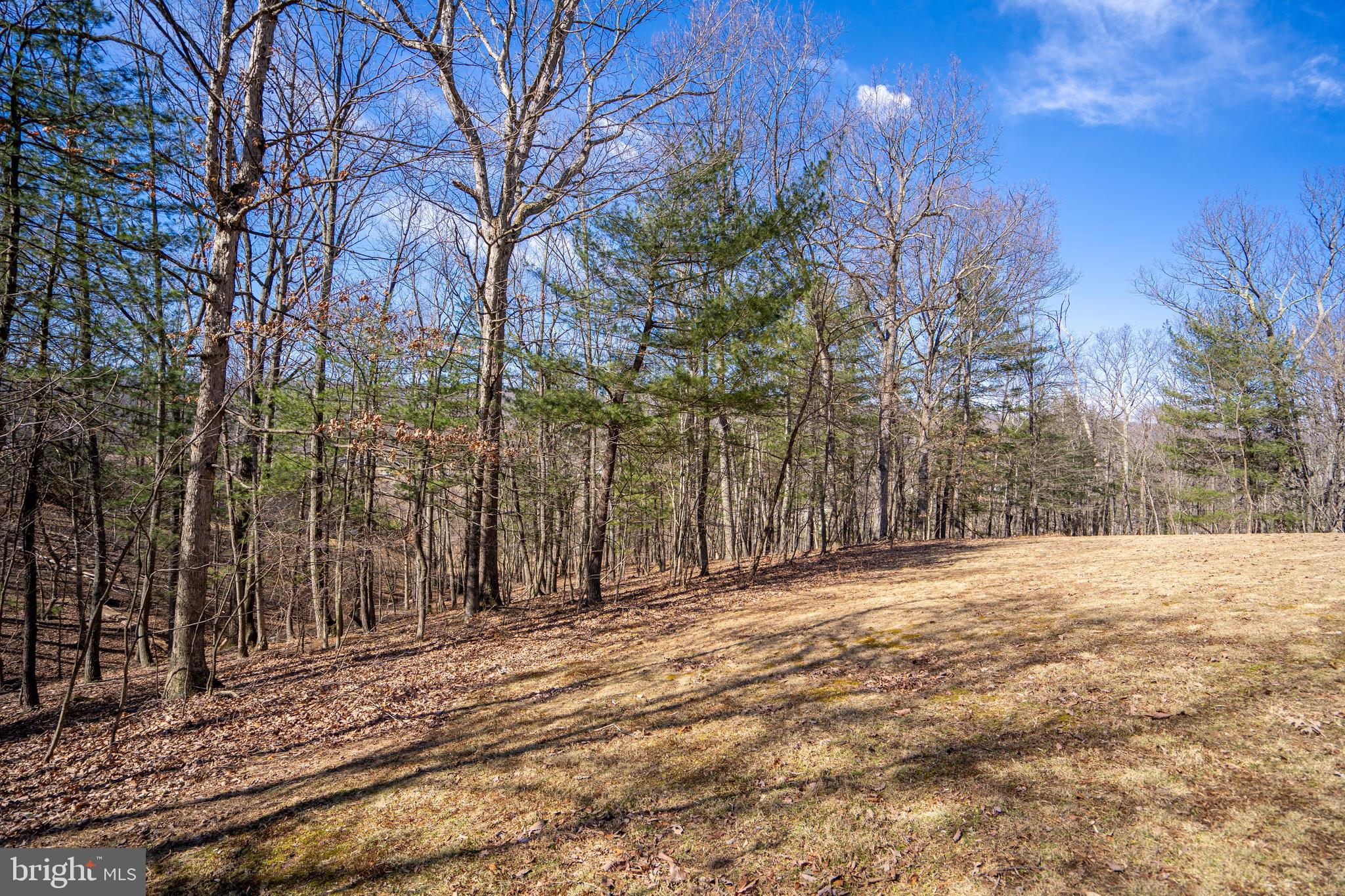 APPLE ORCHARD ACRES - Residential