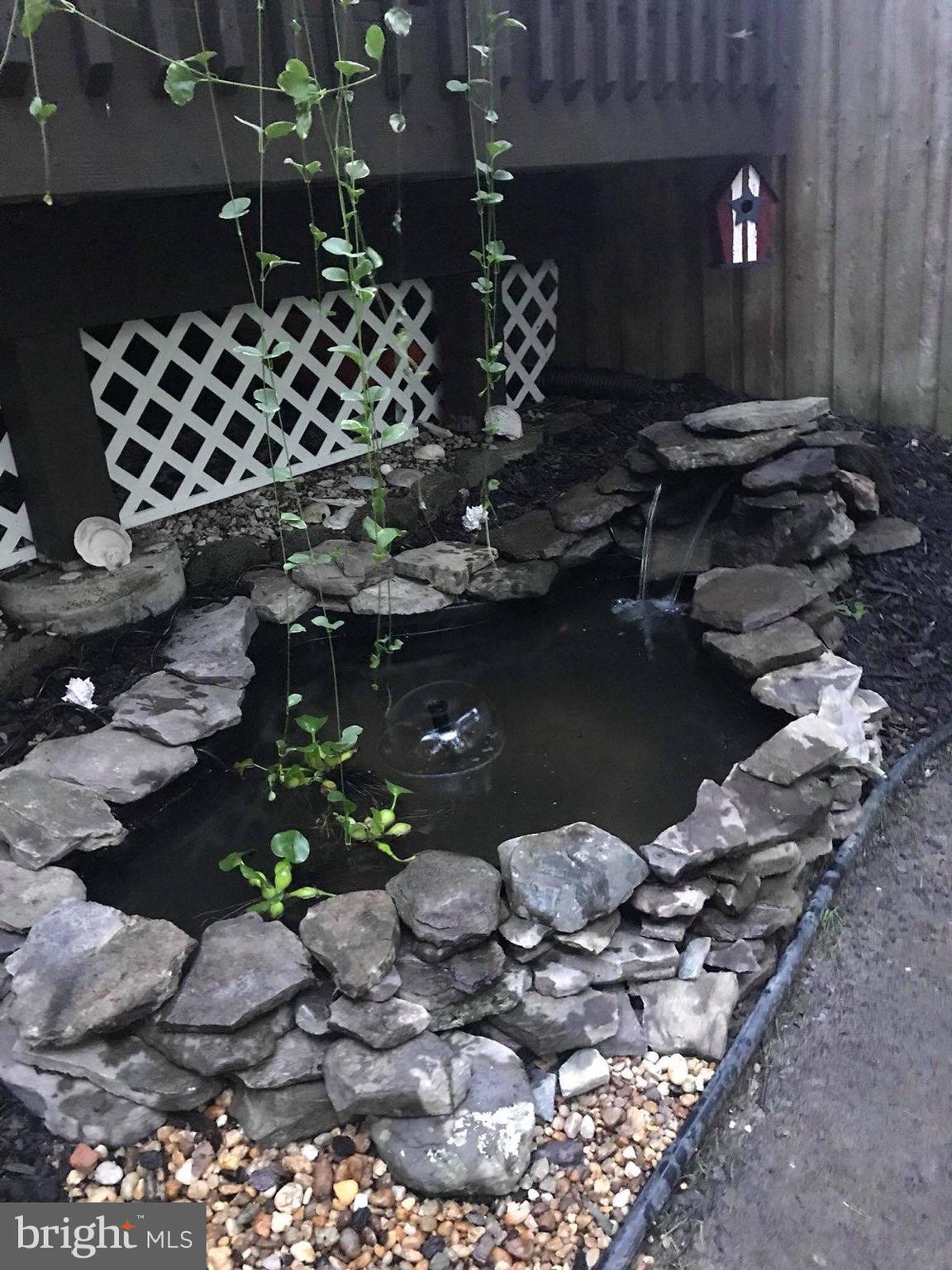 CHESTNUT HILL COVE - Residential