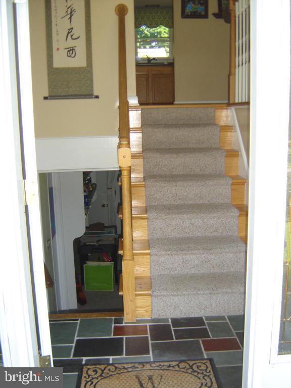 HAMILTON PARK - Residential