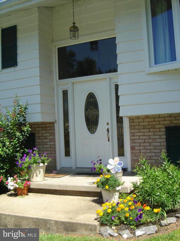 HAMILTON PARK - Residential