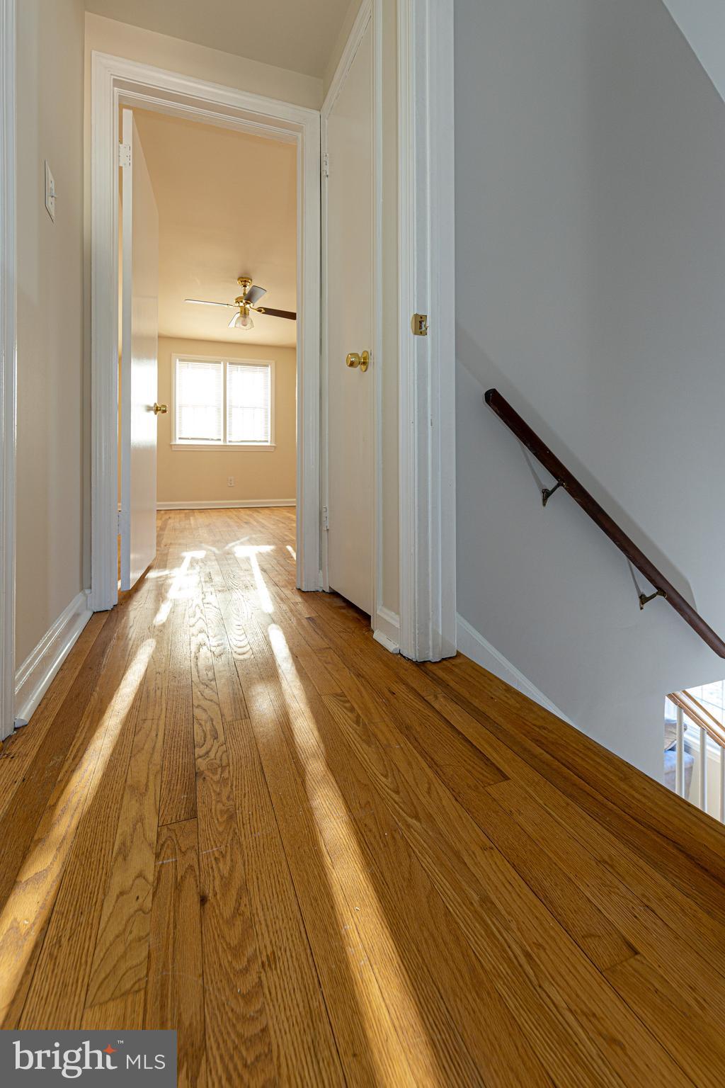 BELVEDERE - Residential