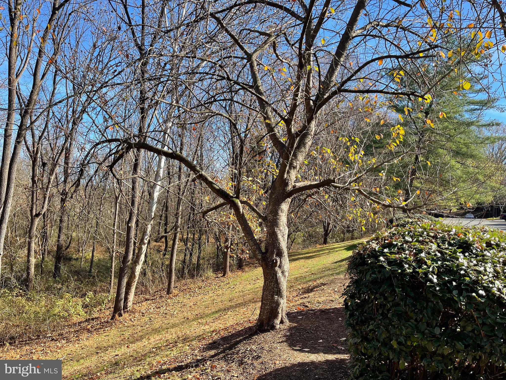 WINDBROOKE - Residential