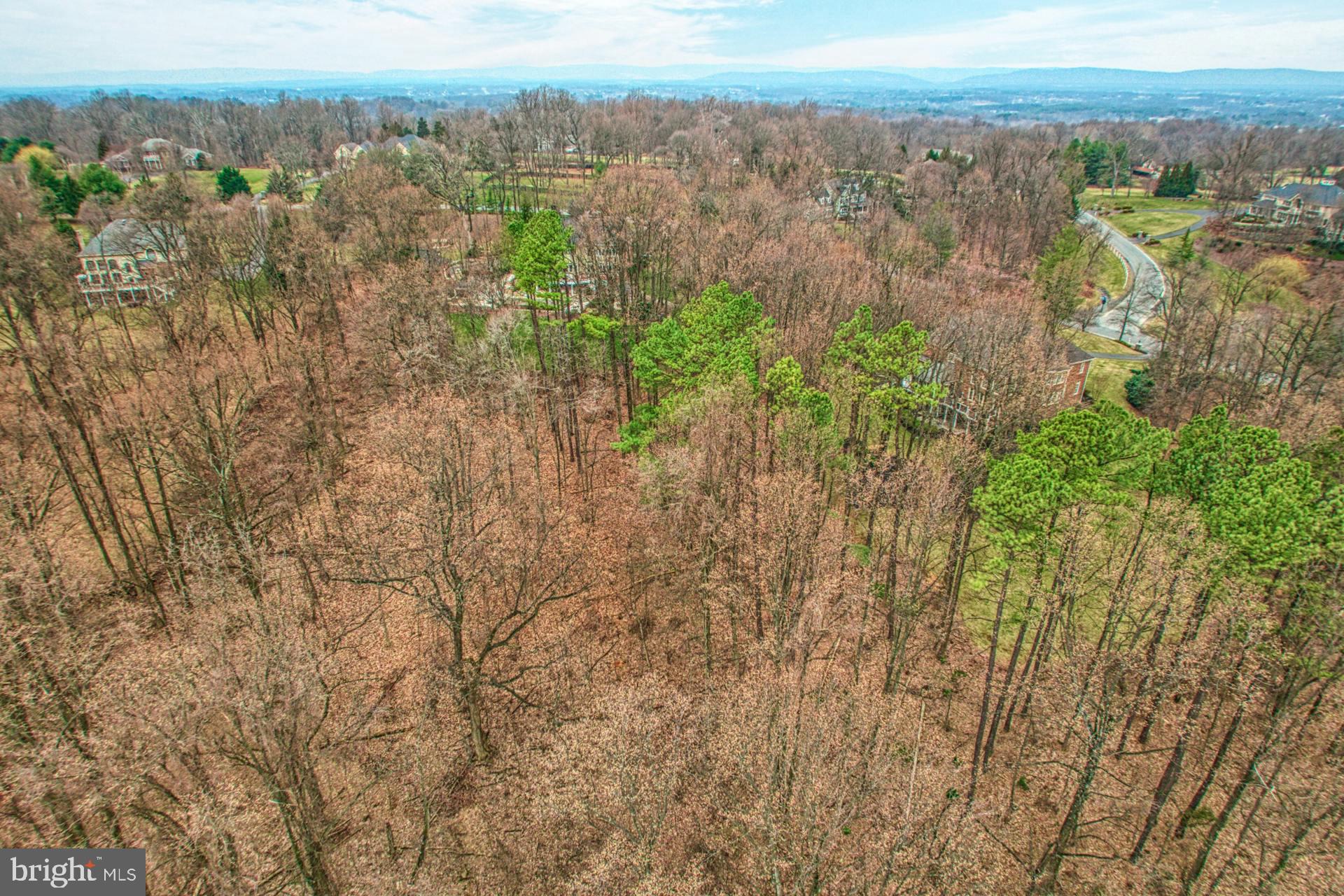 BEACON HILL - Residential