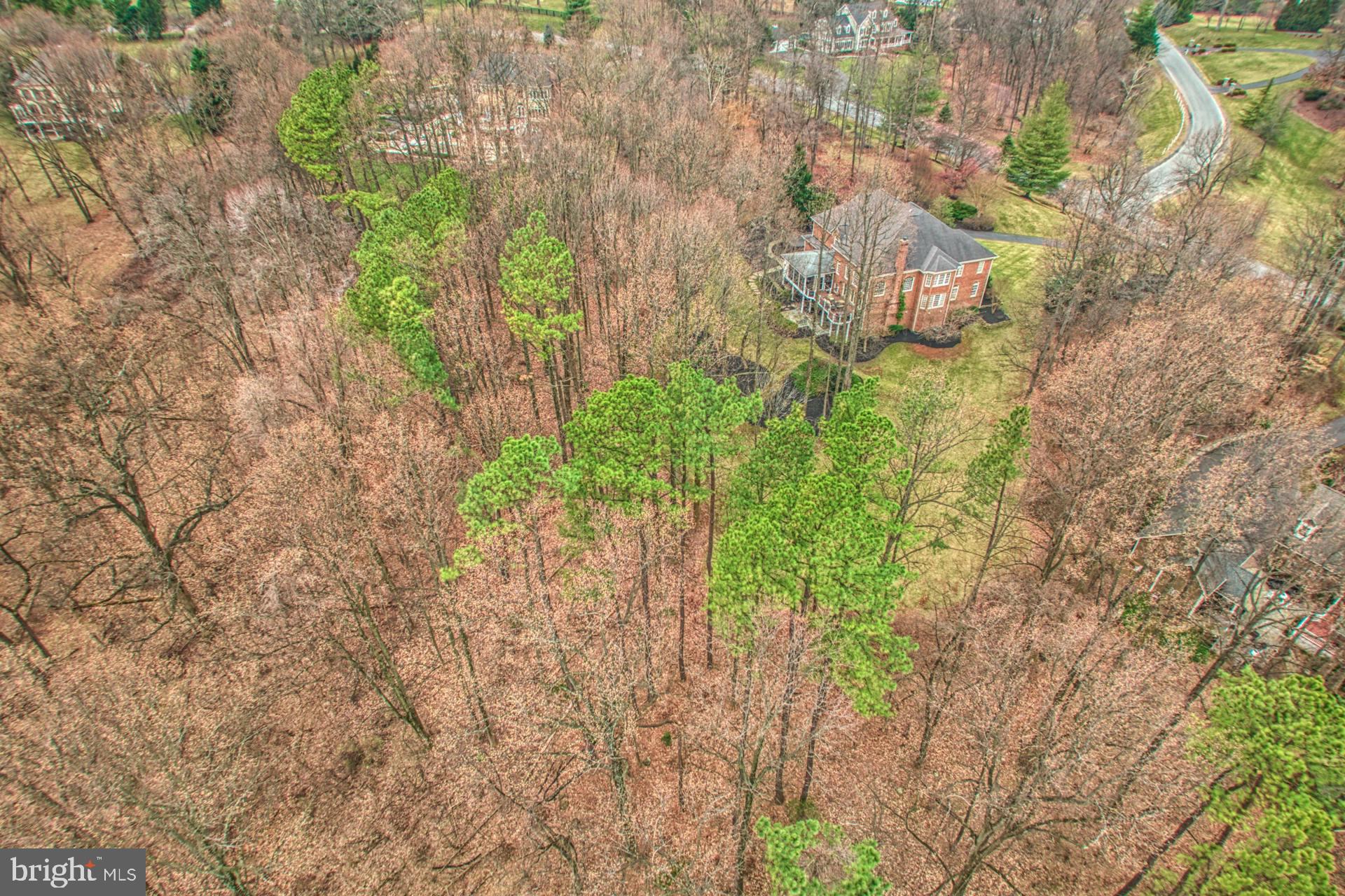 BEACON HILL - Residential