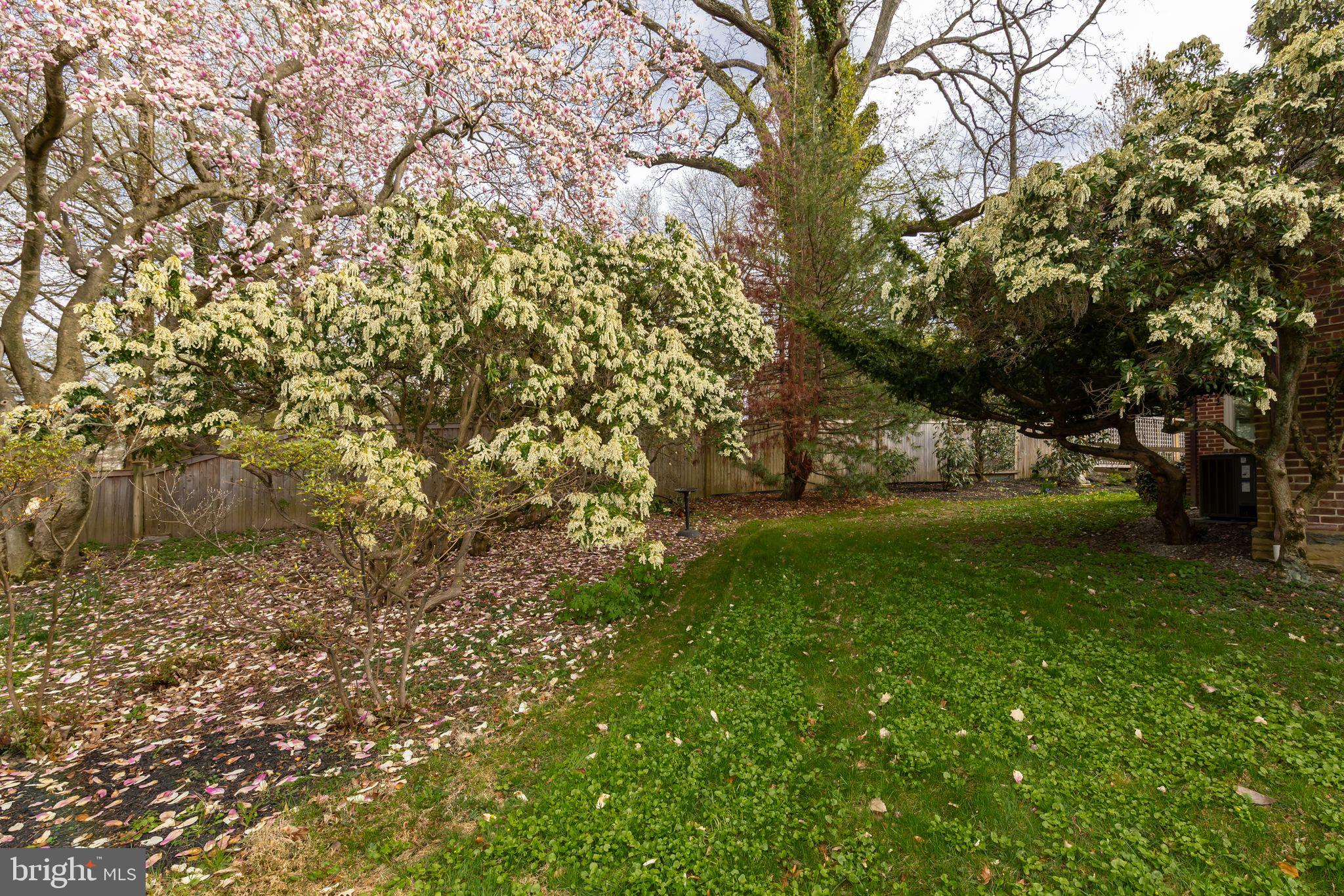 CHESTNUT HILL - Residential