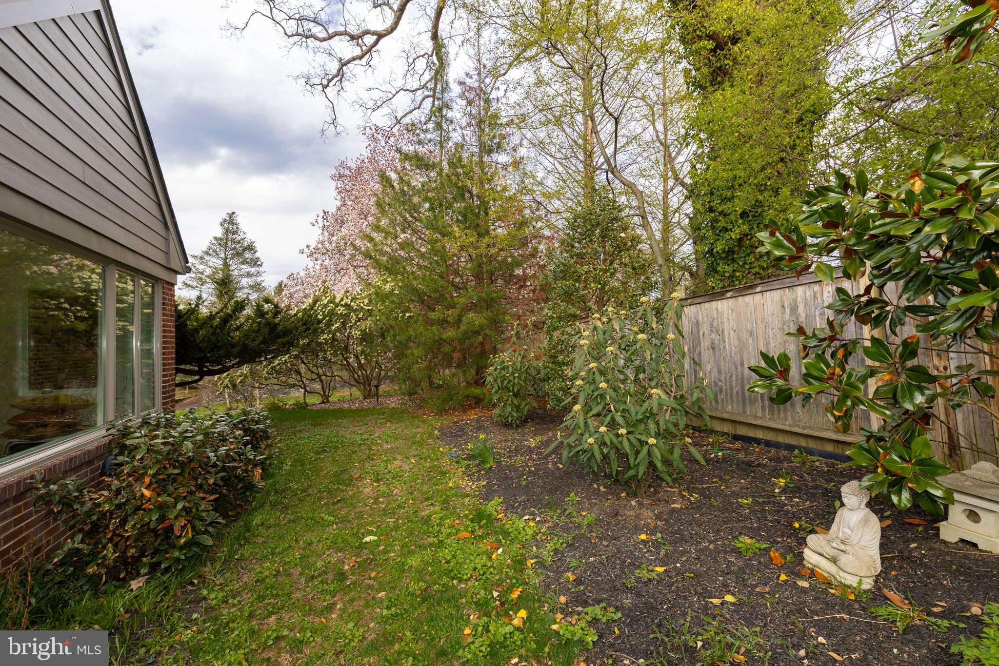 CHESTNUT HILL - Residential