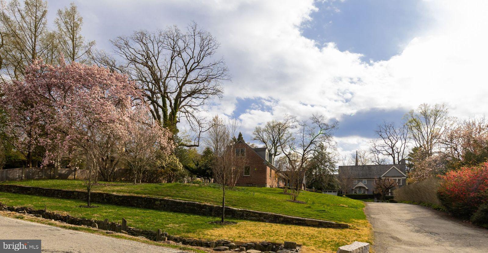 CHESTNUT HILL - Residential