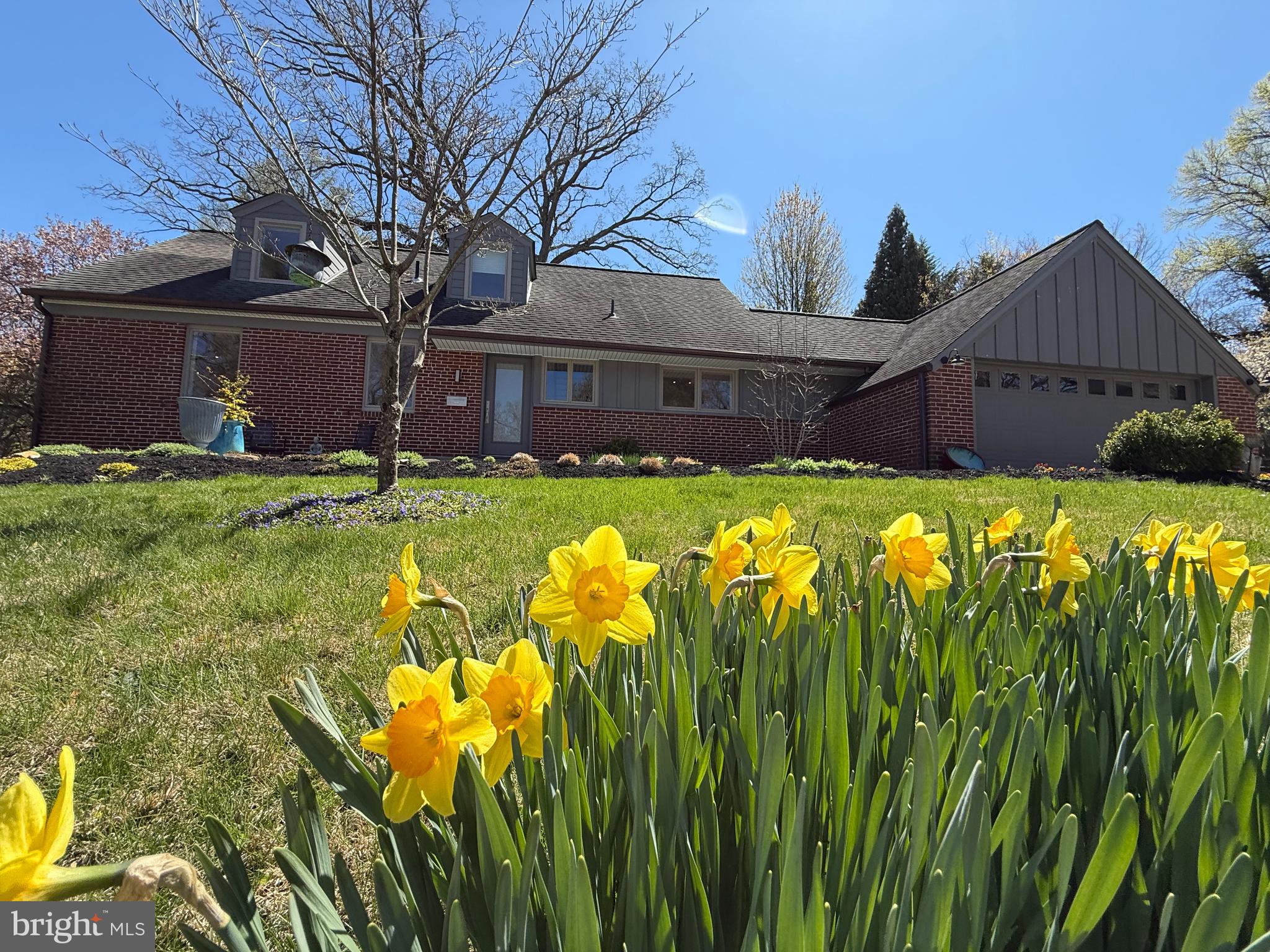 CHESTNUT HILL - Residential