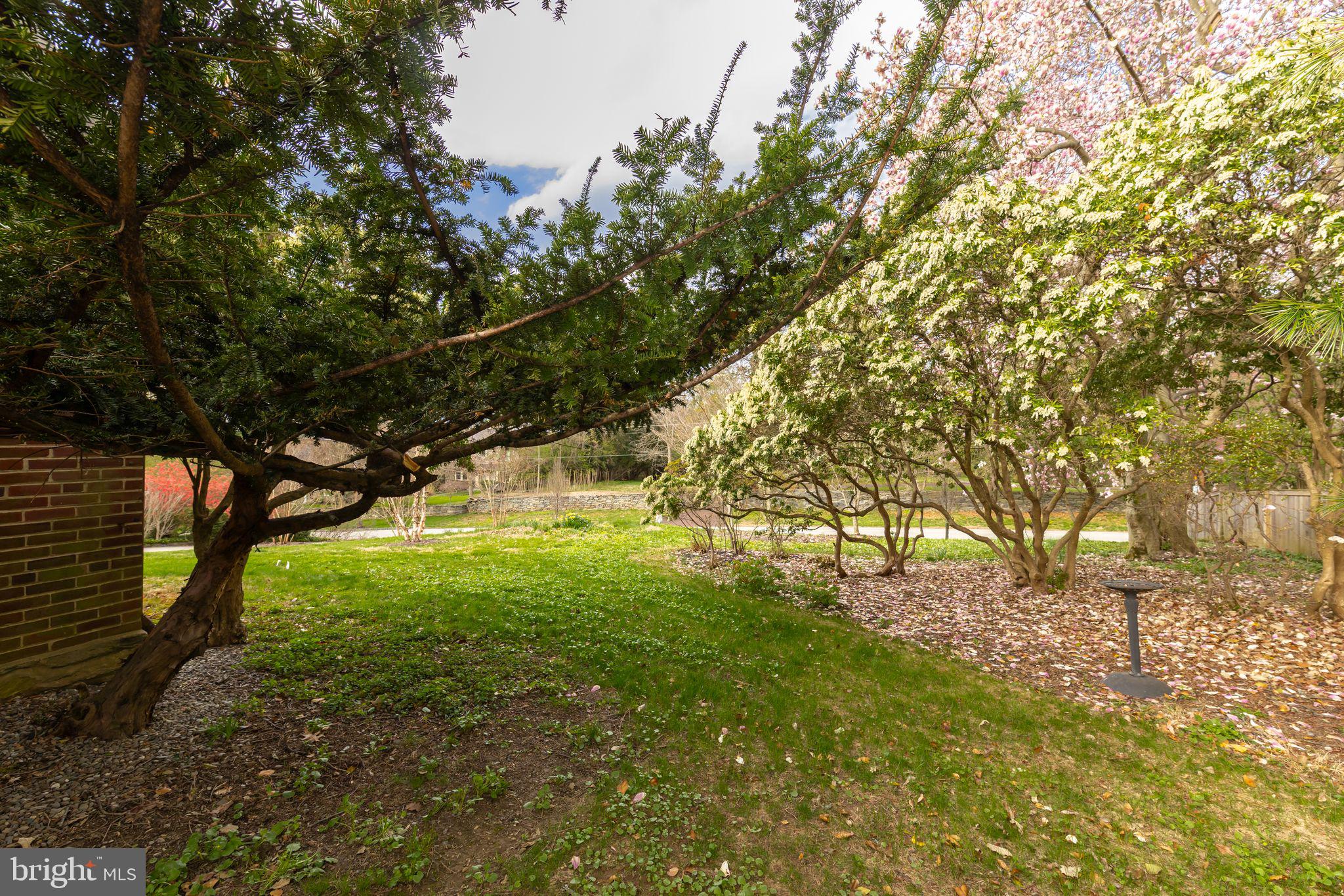 CHESTNUT HILL - Residential