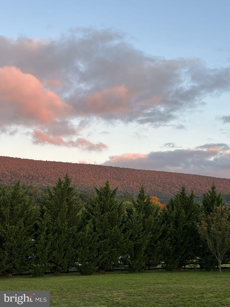 CACAPON SOUTH - Residential