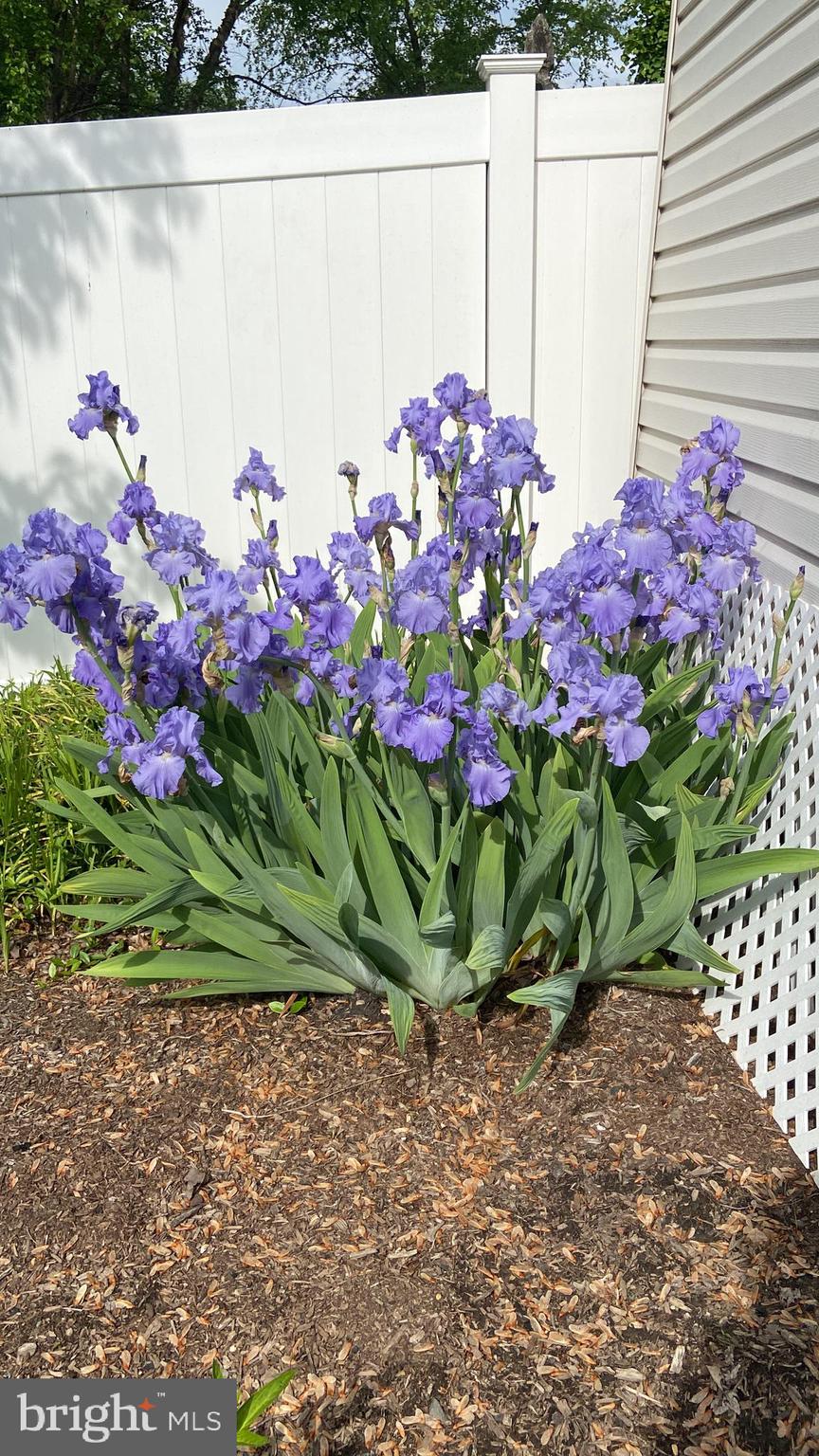 MEADOWBROOK - Residential