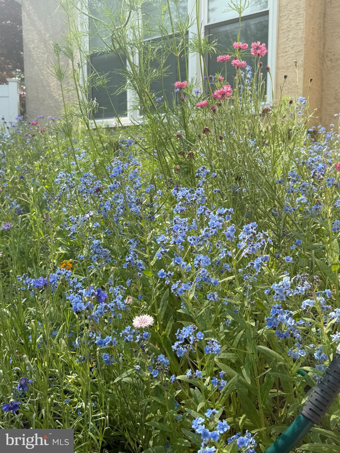 MEADOWBROOK - Residential