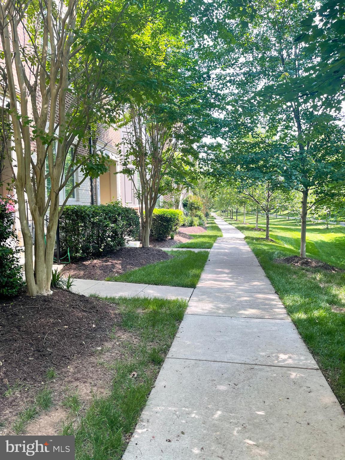 BRAMBLETON TOWN CTR RESI - Residential Lease