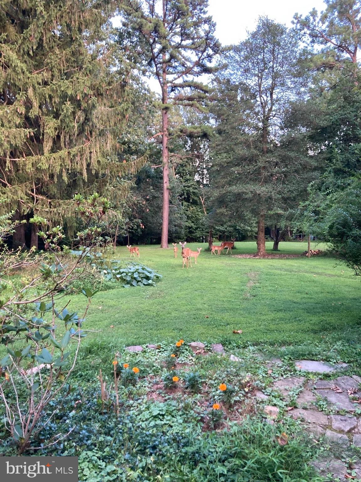 GLYNDON PARK - Residential