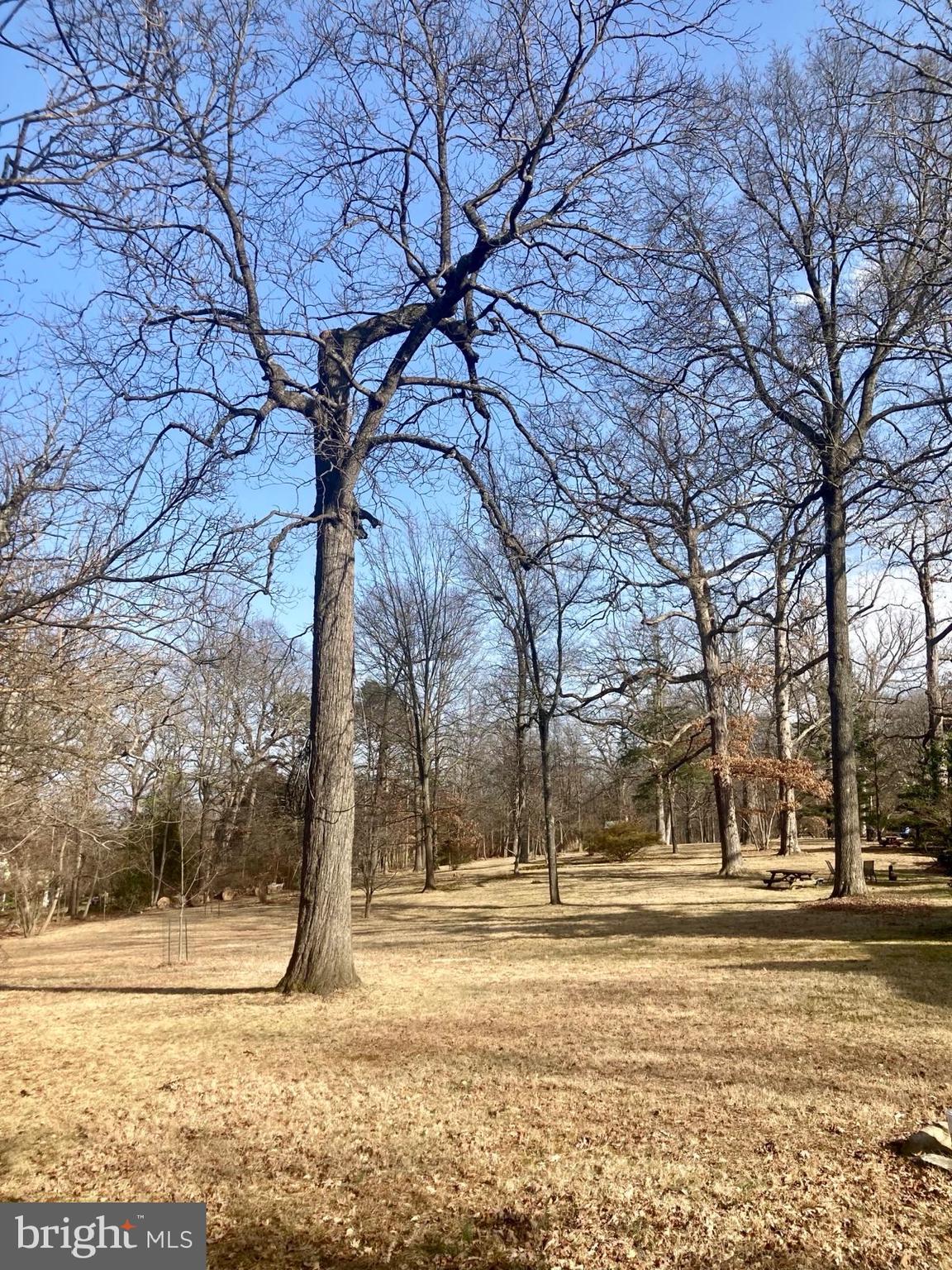 GLYNDON PARK - Residential