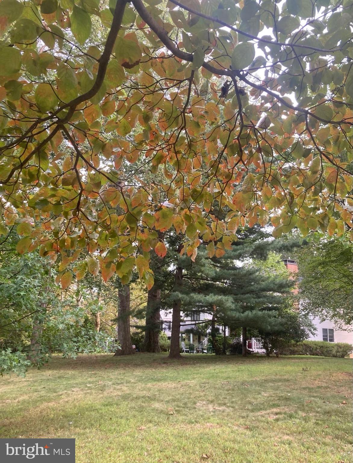 GLYNDON PARK - Residential