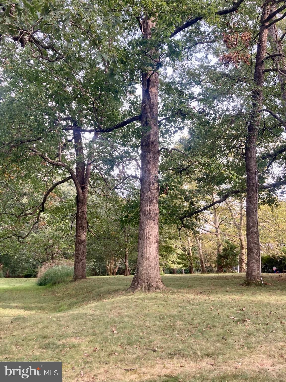 GLYNDON PARK - Residential