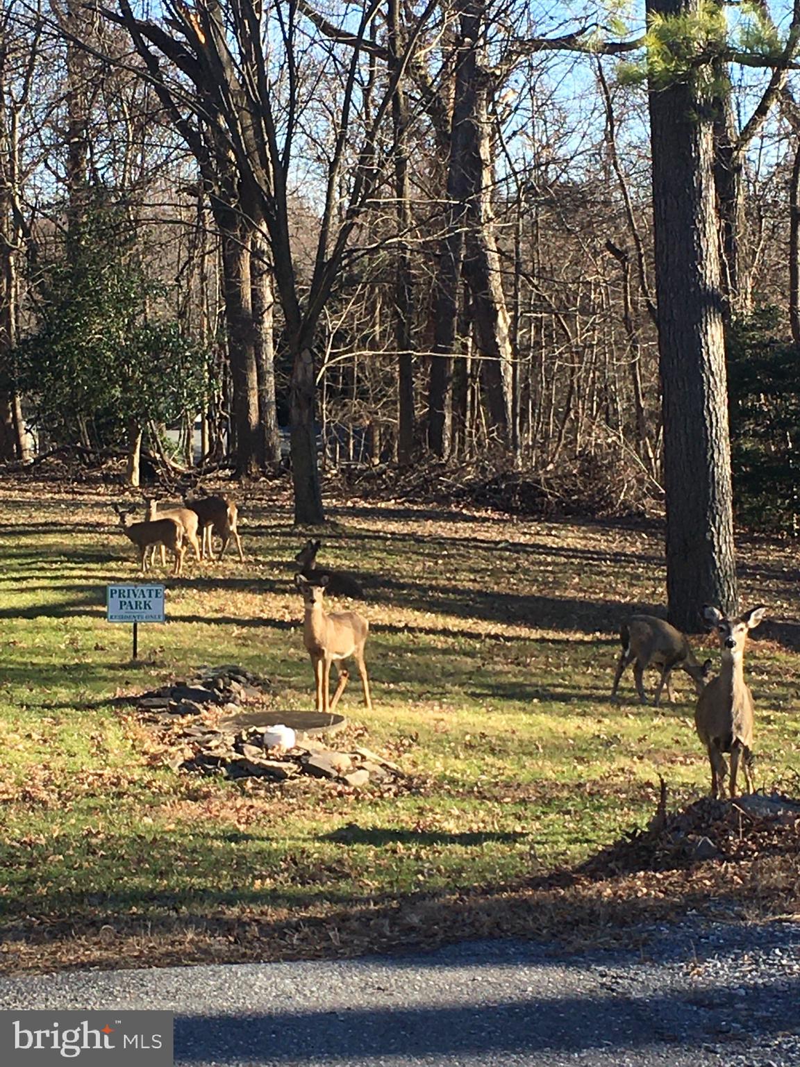 GLYNDON PARK - Residential