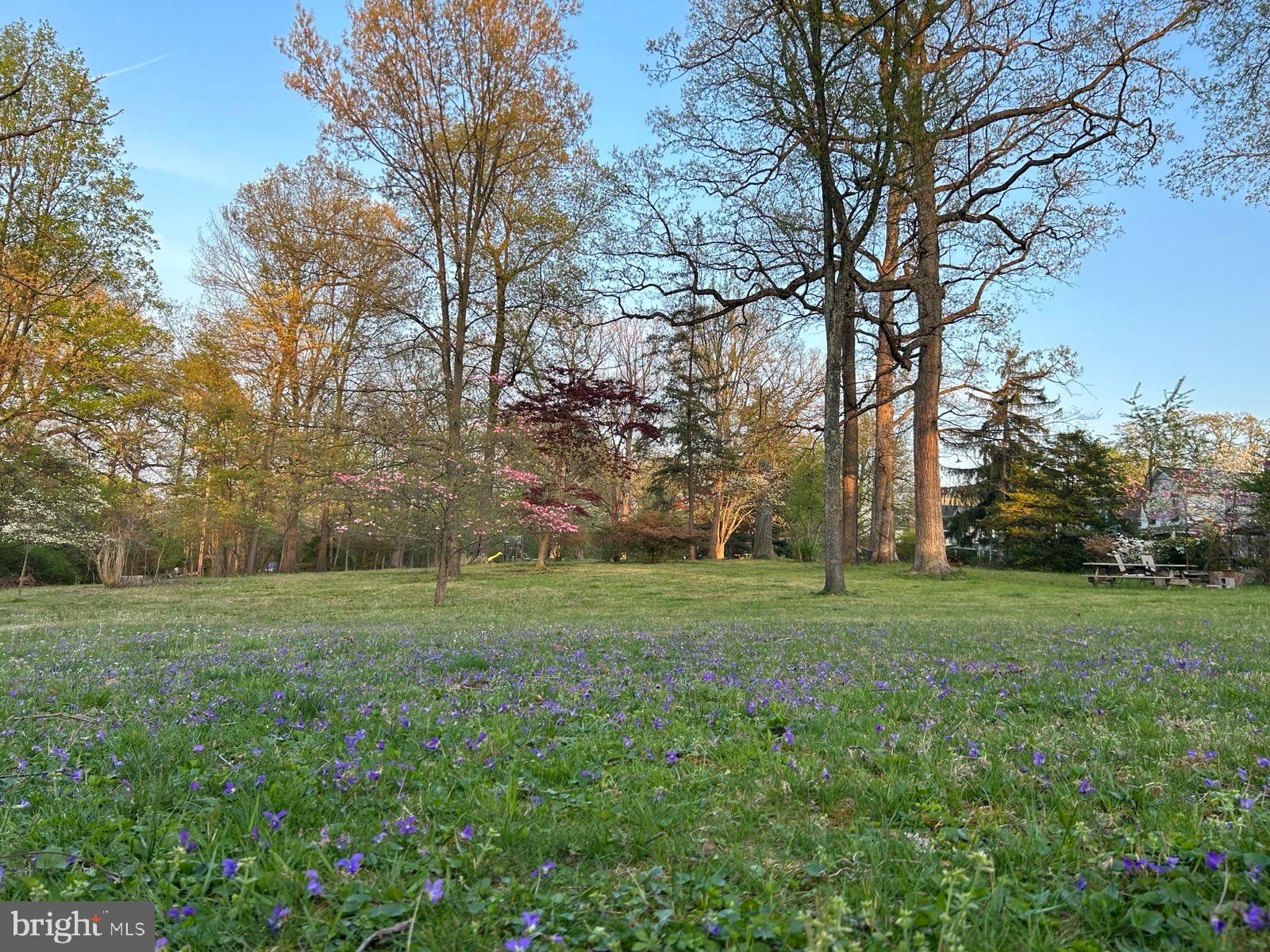 GLYNDON PARK - Residential