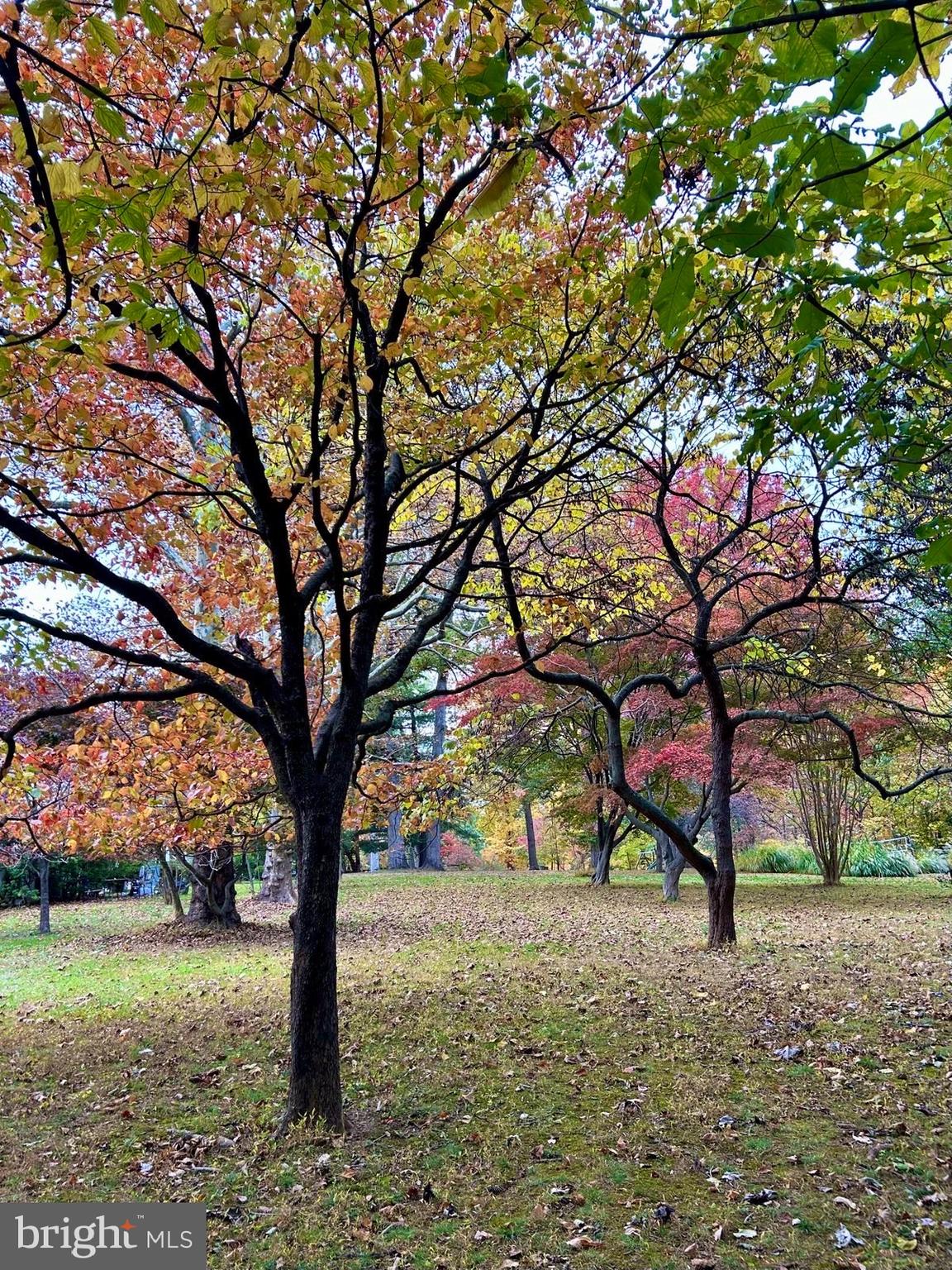 GLYNDON PARK - Residential