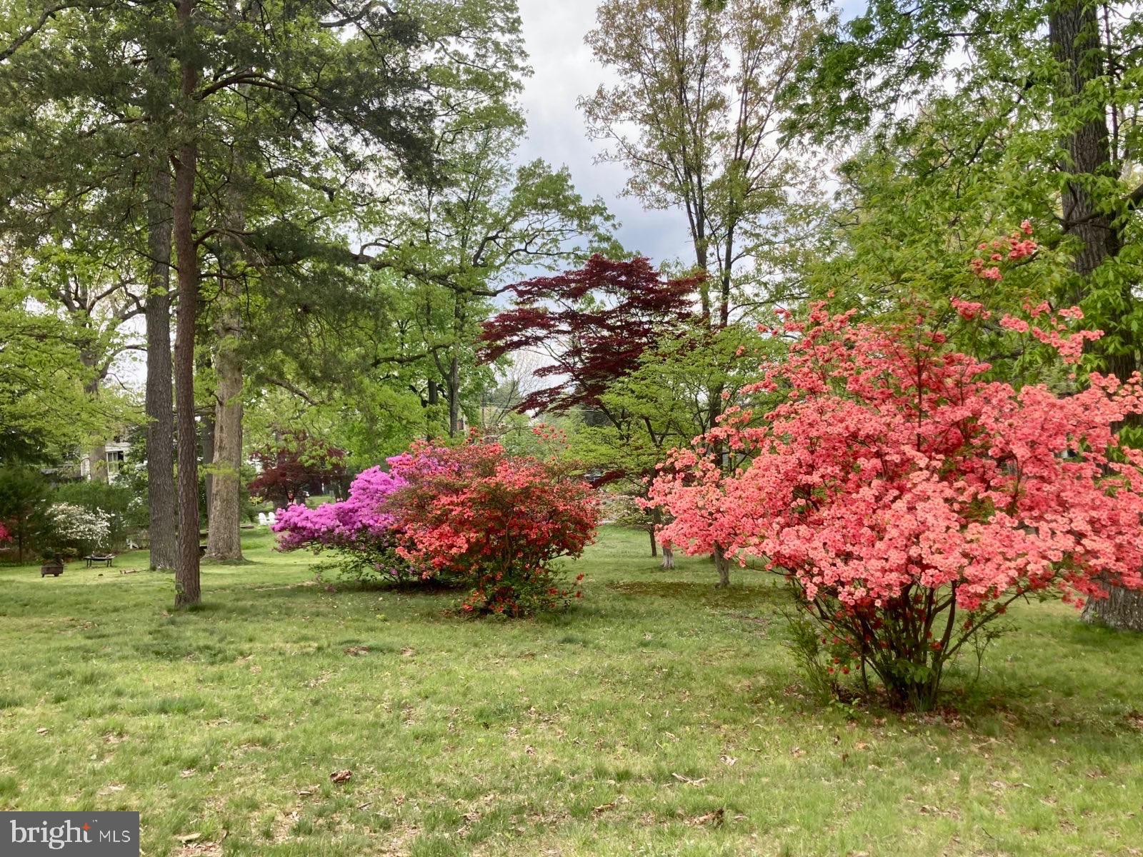 GLYNDON PARK - Residential