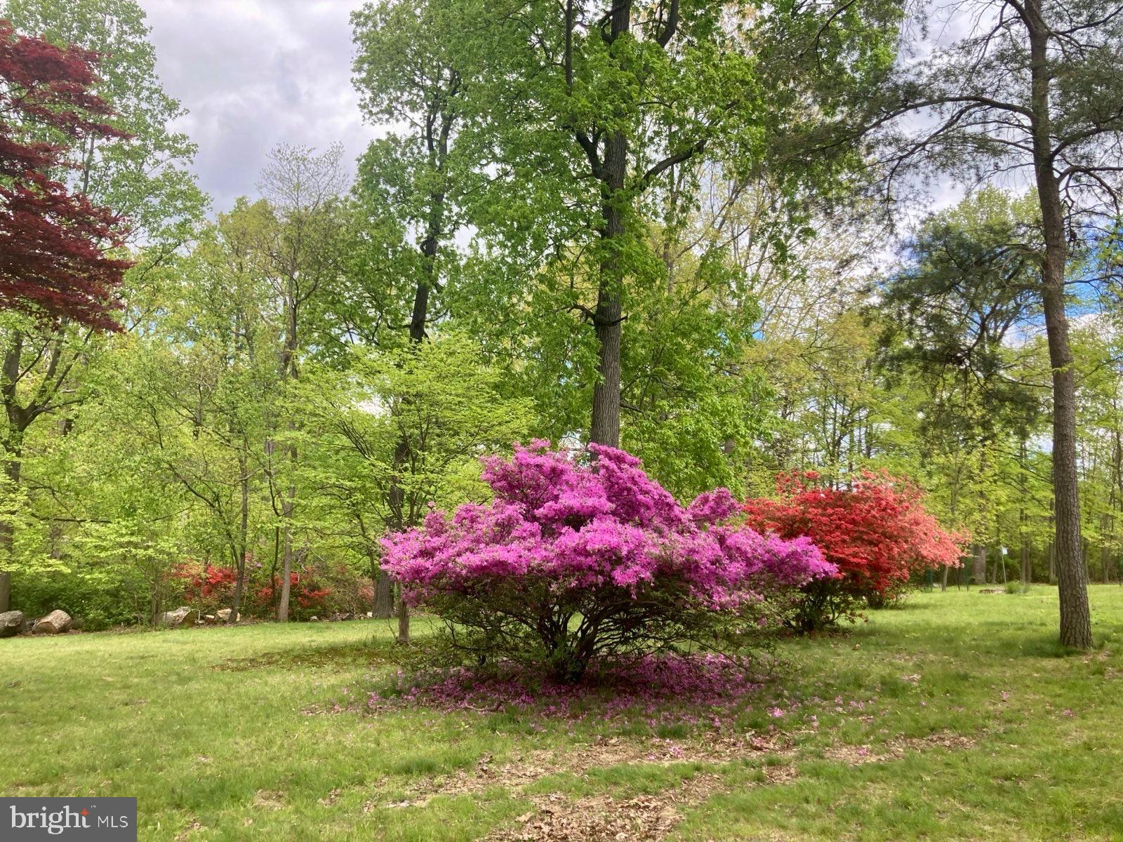 GLYNDON PARK - Residential