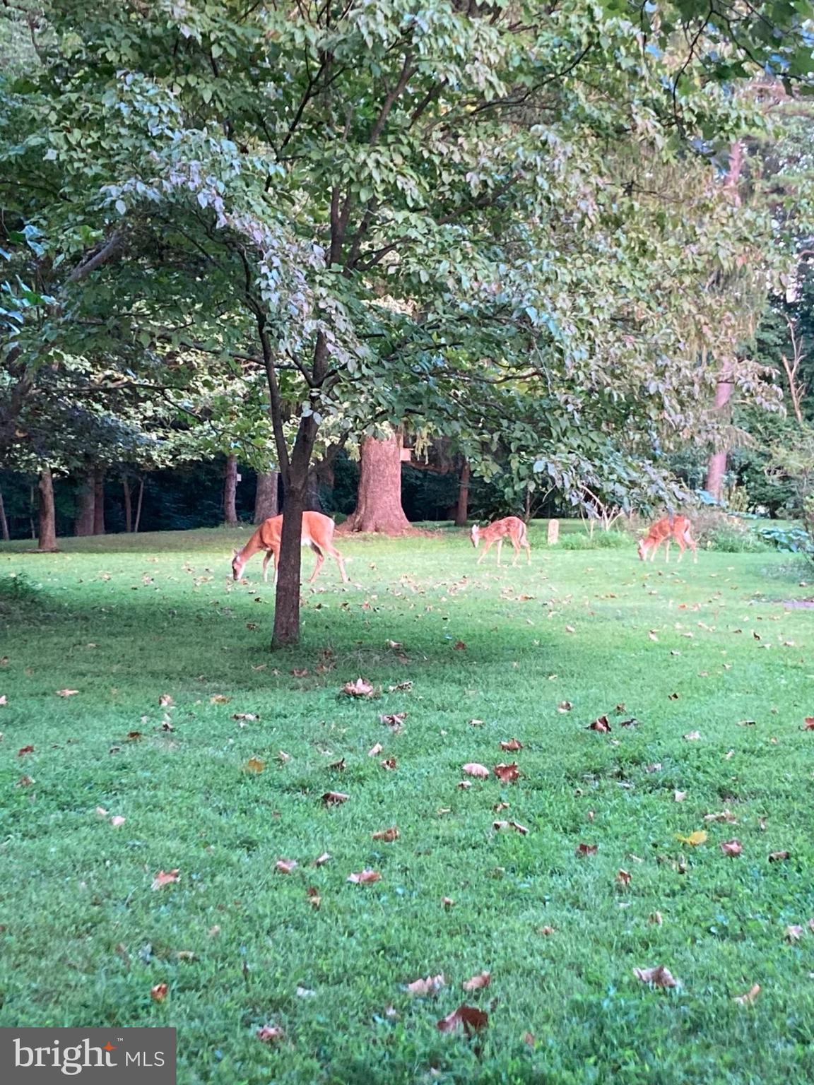 GLYNDON PARK - Residential