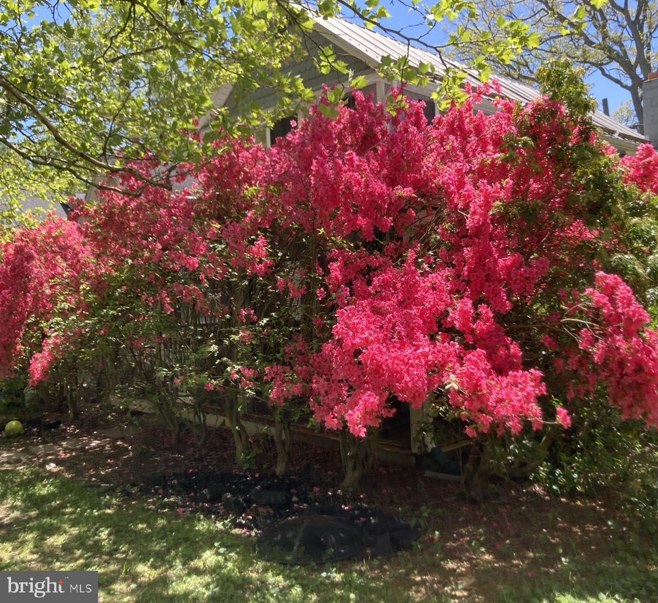 GLYNDON PARK - Residential