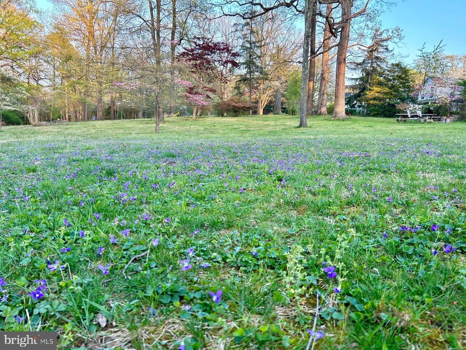 GLYNDON PARK - Residential