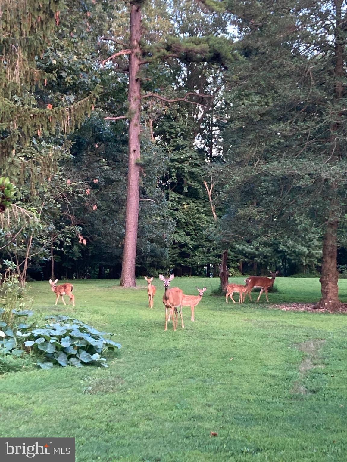 GLYNDON PARK - Residential