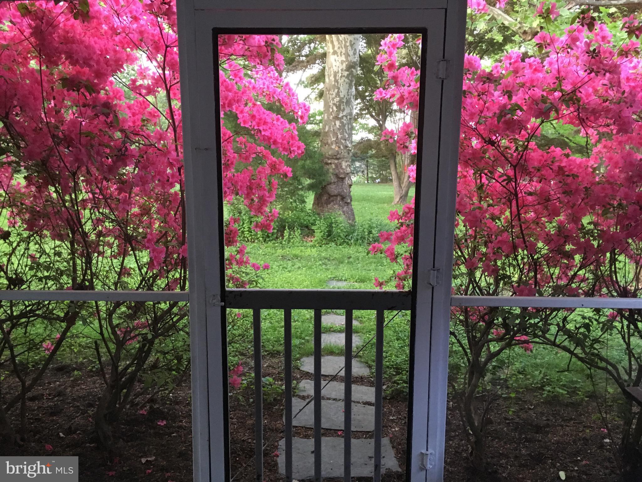 GLYNDON PARK - Residential