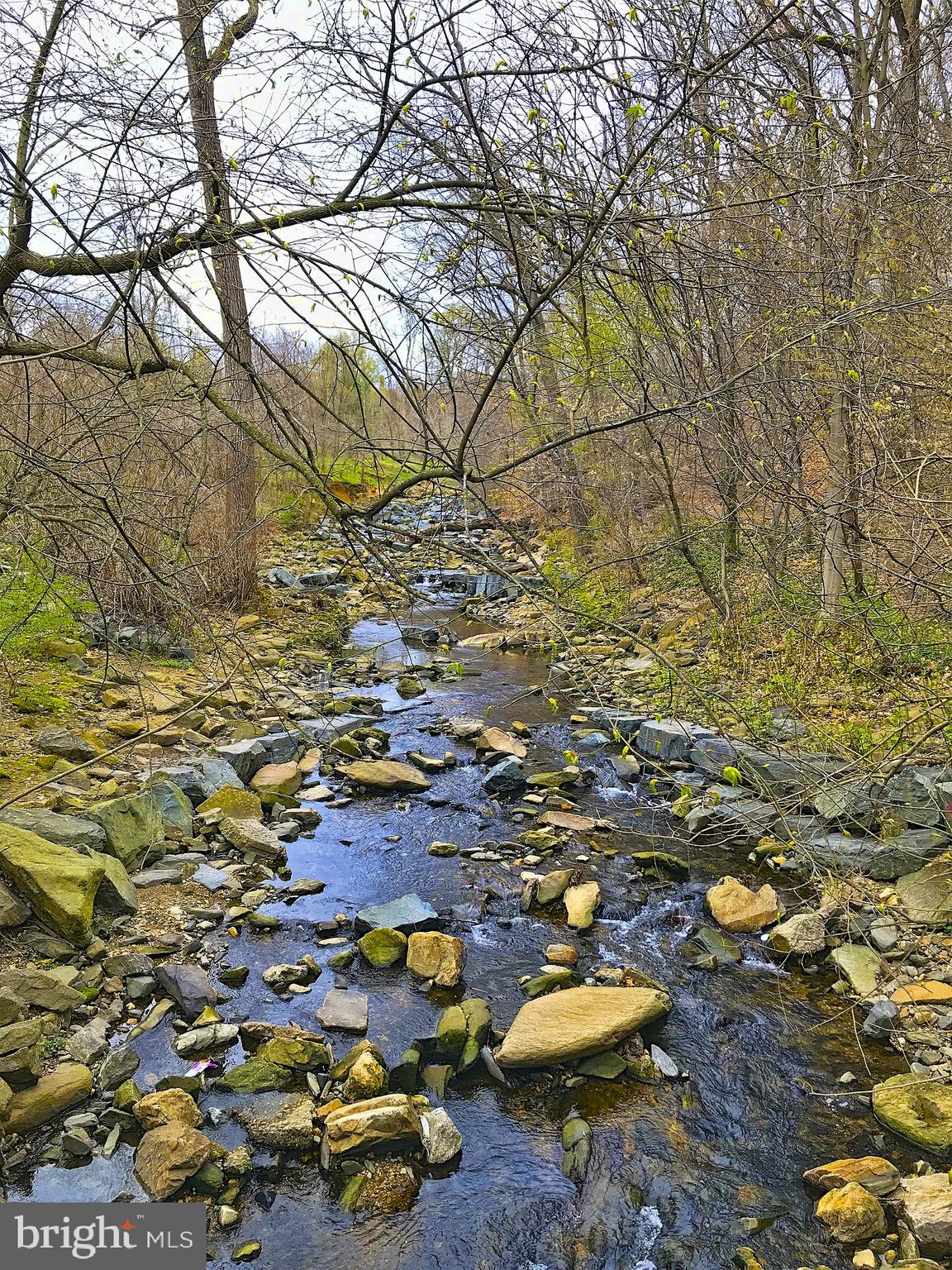 HAMPDEN HISTORIC DISTRICT - Residential