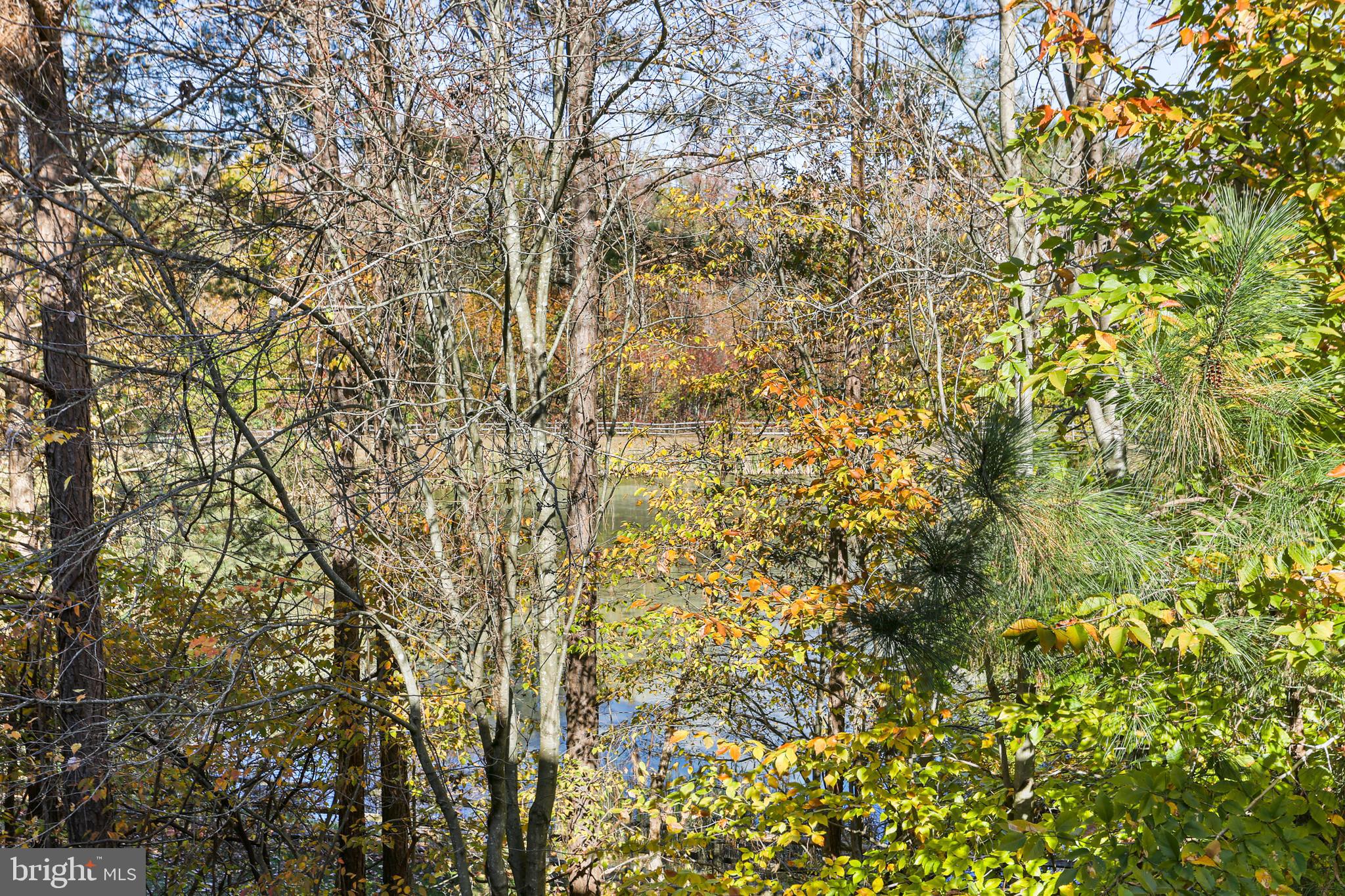 SOUTH RIVER COLONY - Residential