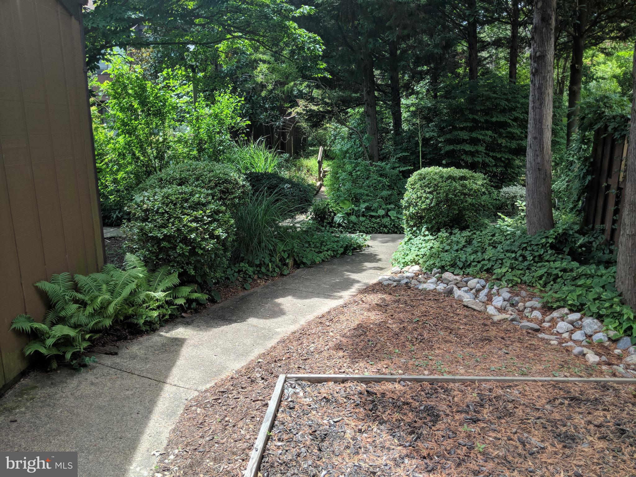 COVINGTON - Residential Lease