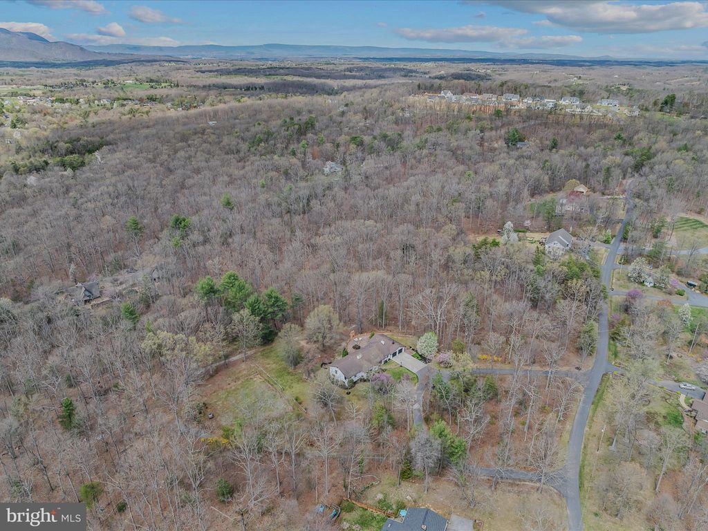 listing image 124