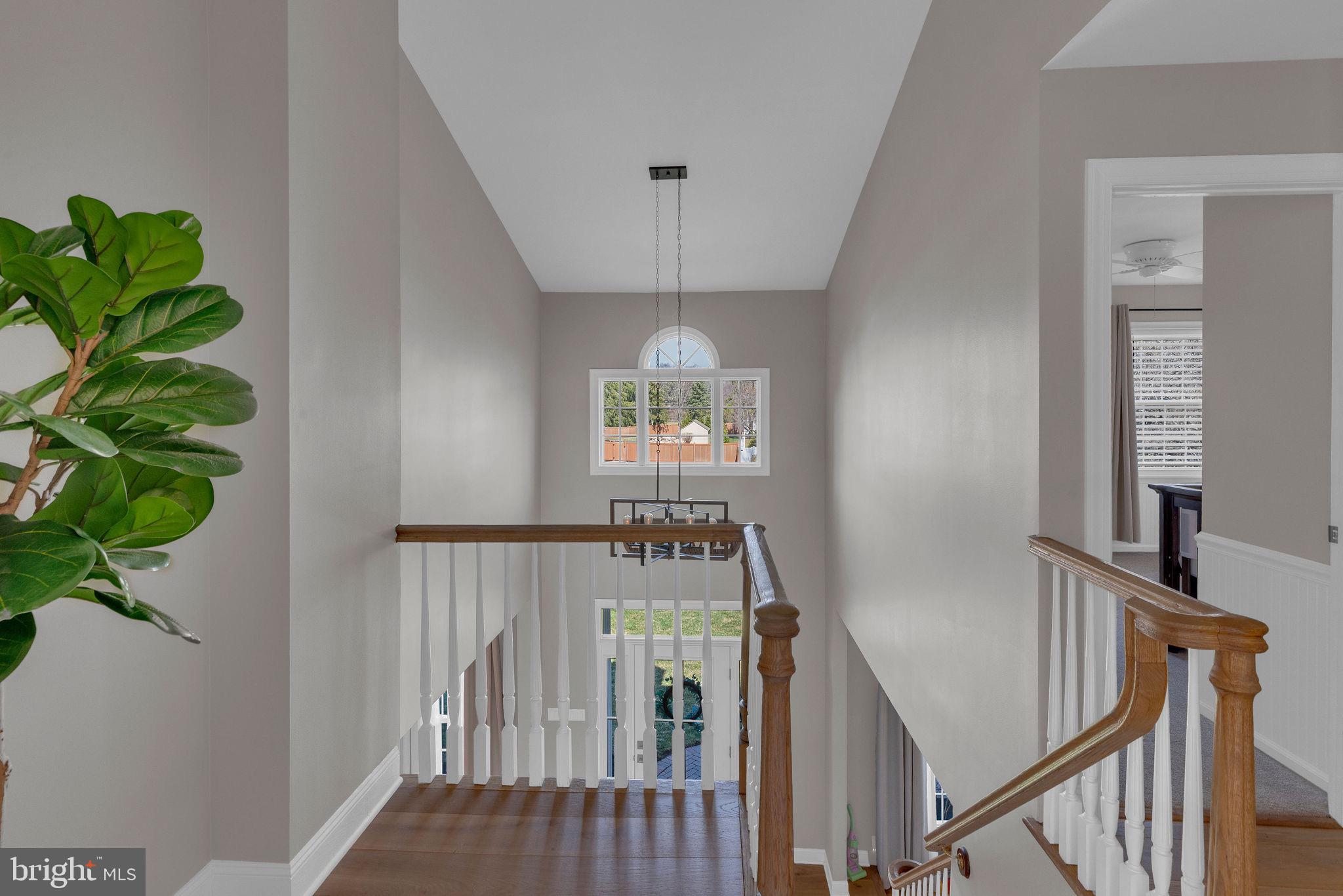 MALLARD POND - Residential