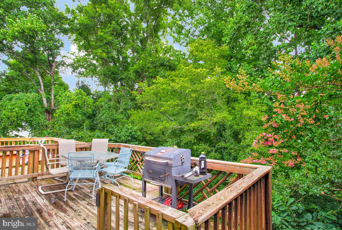 CHESAPEAKE LIGHTHOUSE - Residential