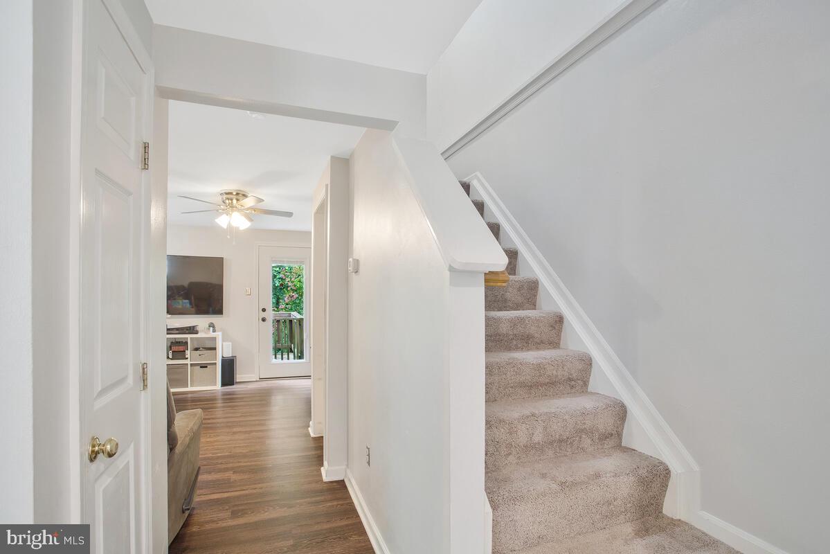 CHESAPEAKE LIGHTHOUSE - Residential