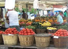 POTOMAC CLUB - Residential