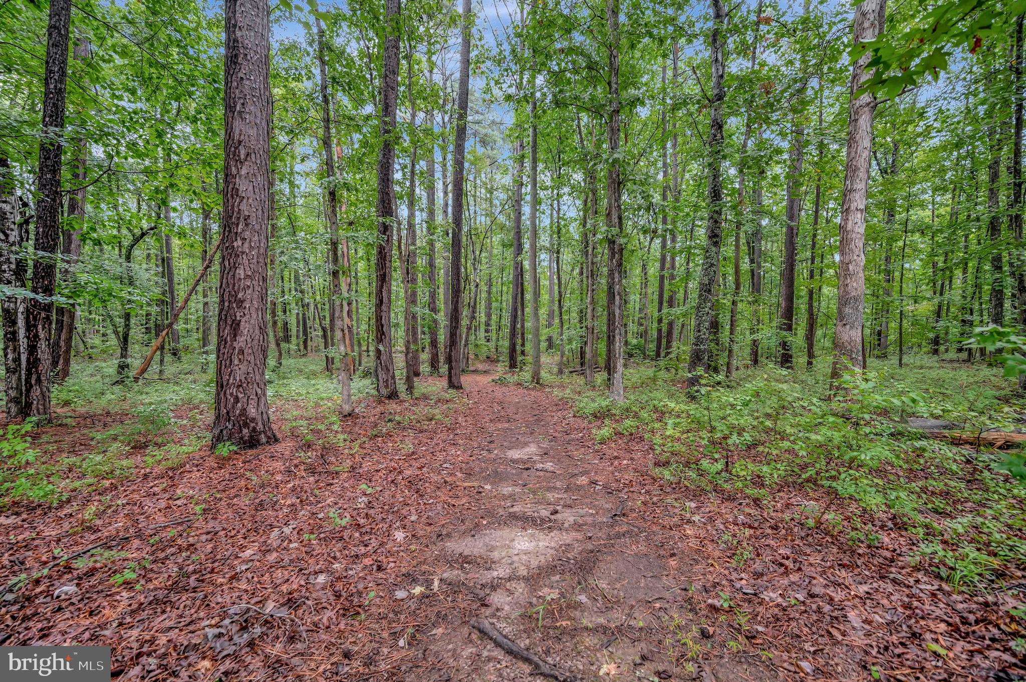 FAWN LAKE - Residential
