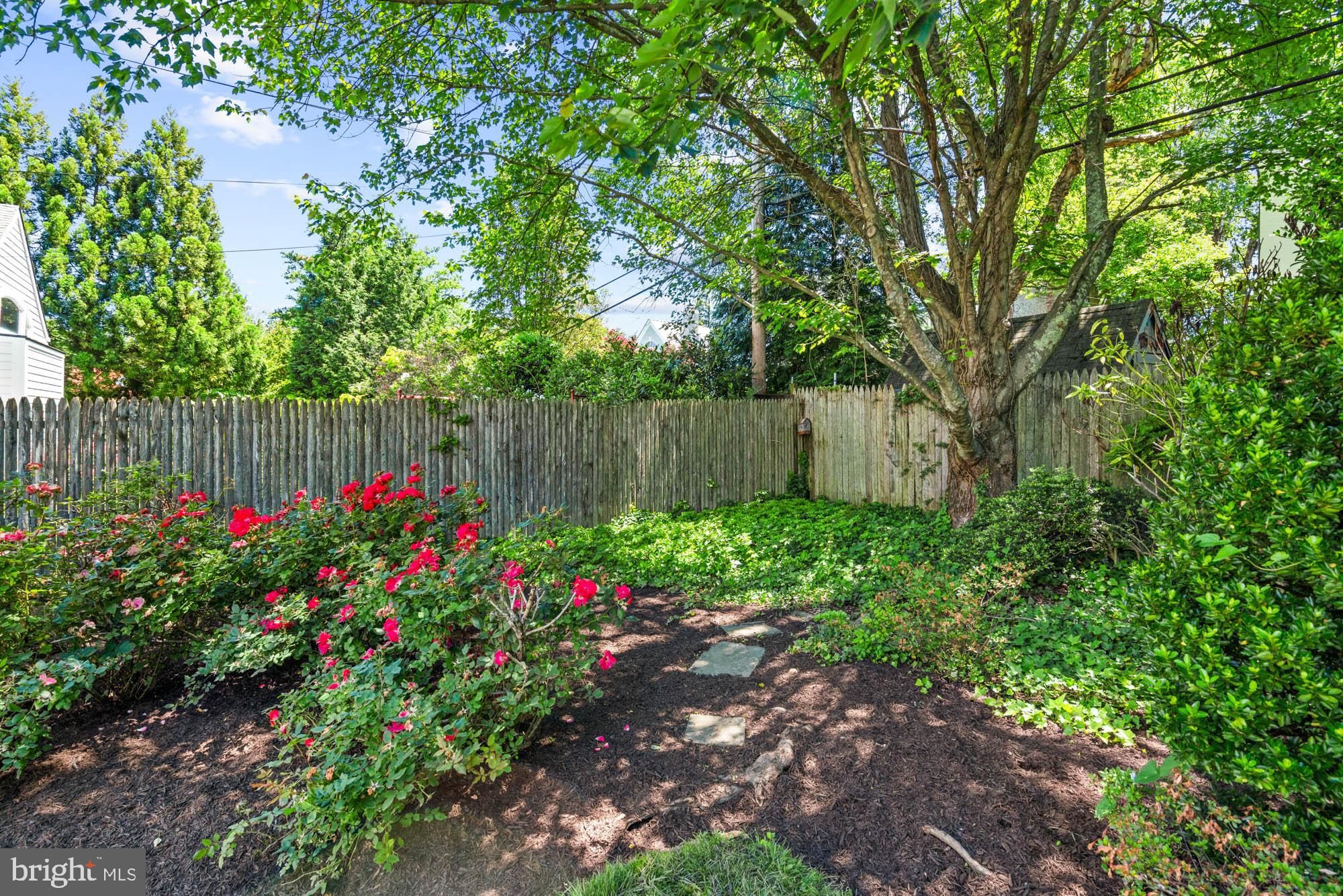 CHEVY CHASE VILLAGE - Residential