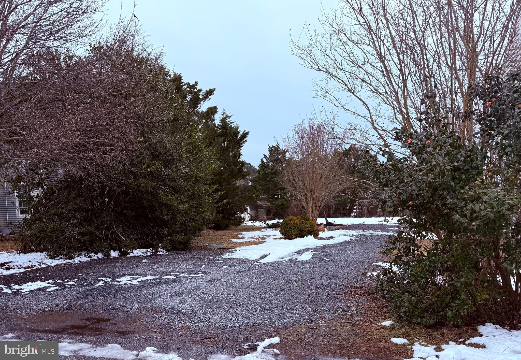 CAPE ISLE OF WIGHT - Land