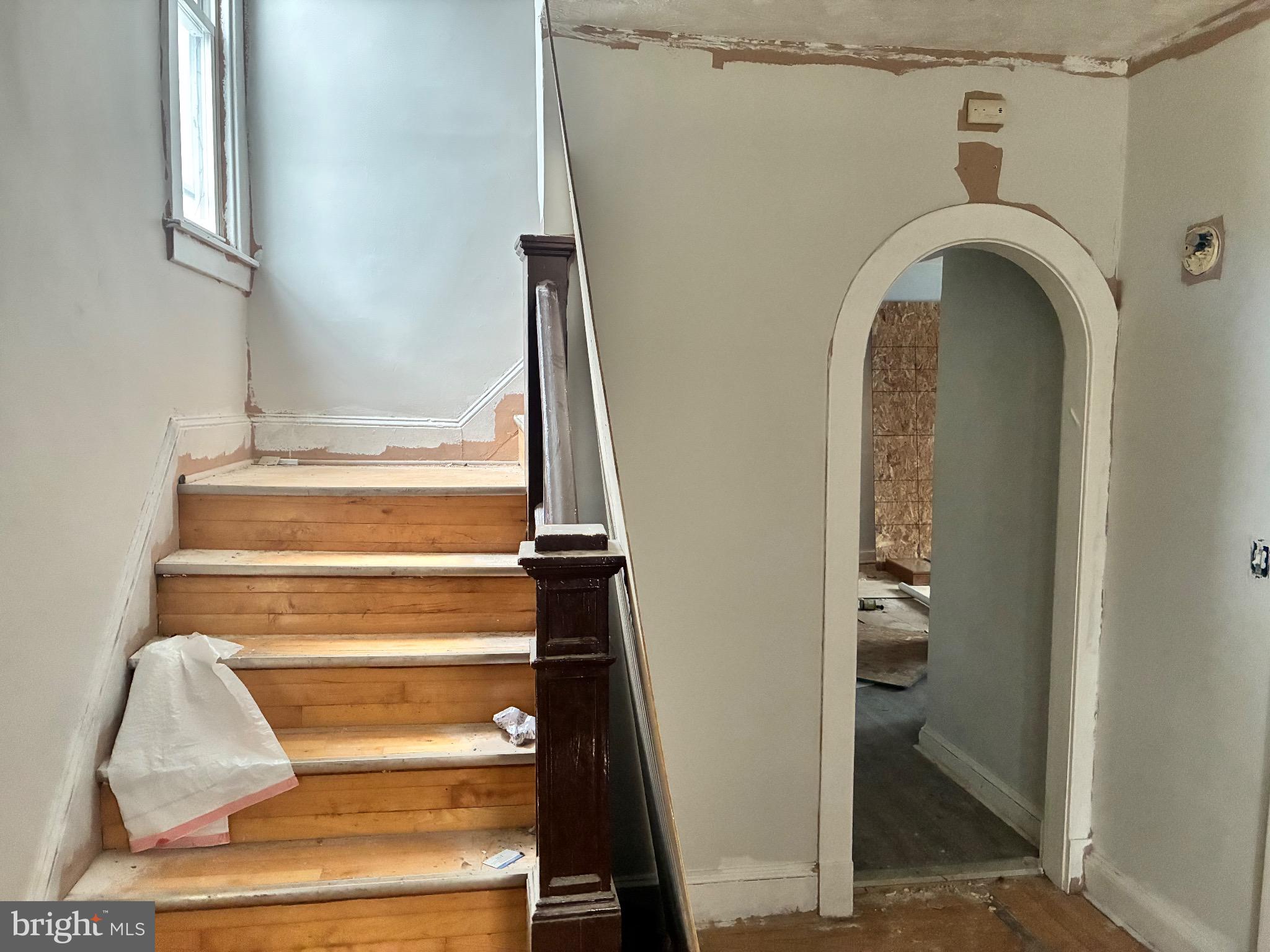 CENTRAL FOREST PARK - Residential